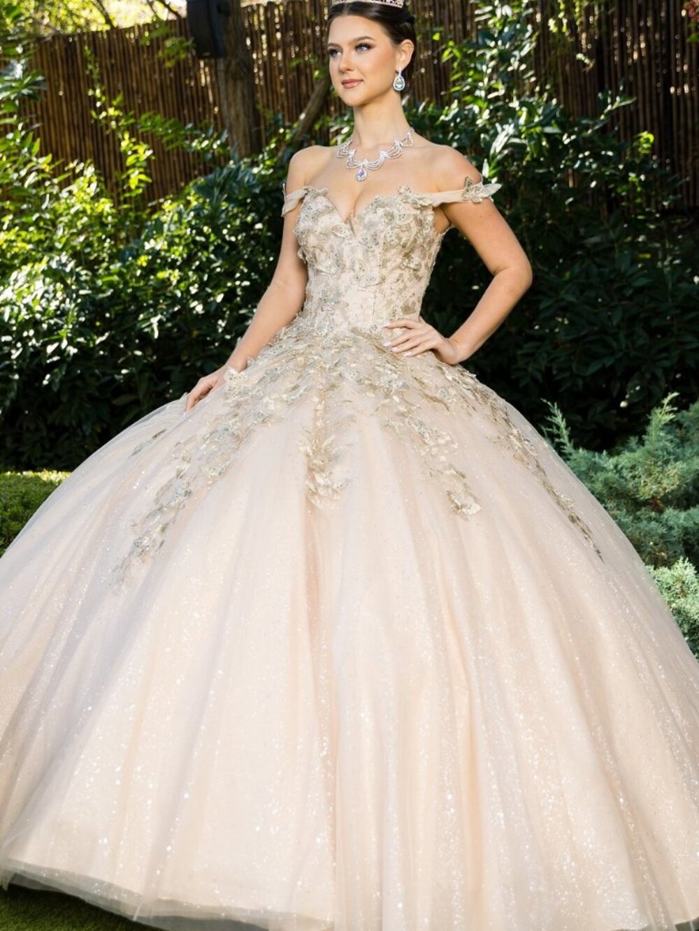 NEW CHAMPAGNE Tulle & Lace Evening Gown Formal Elegant Stunning 8046J